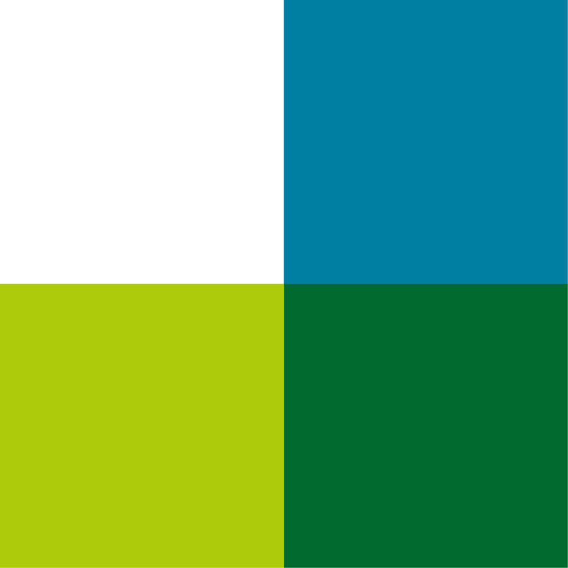 kleuren logo Stichting Steunfonds